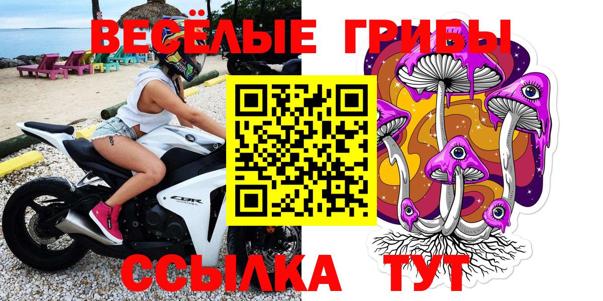 Советская Гавань  Псилоцибиновые грибы Psilocybe  где найти наркотики  Вход с VPN 